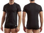 T-Shirt Enrico Coveri Girocollo Art. 1100 Cotone Pettinato Pack 3pz. Assortito